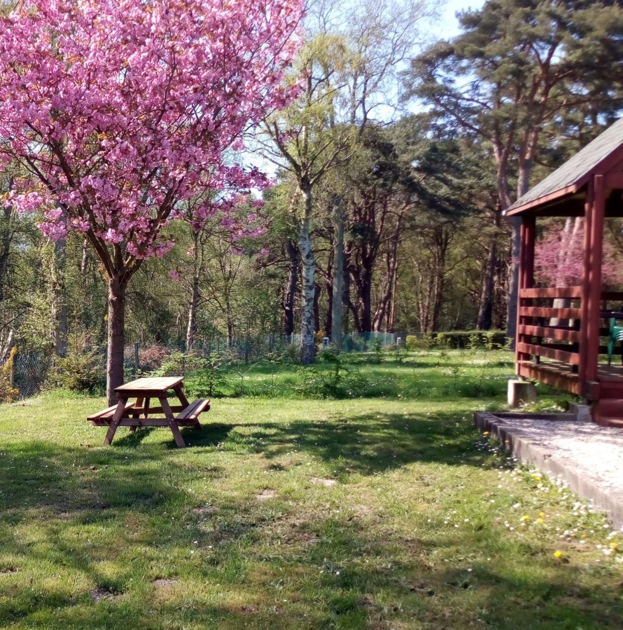 Camping Les Falaises De Toussaint מראה חיצוני תמונה